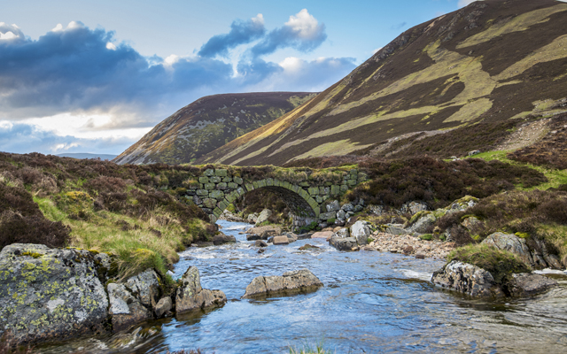BLOG: Nature’s Right to Be